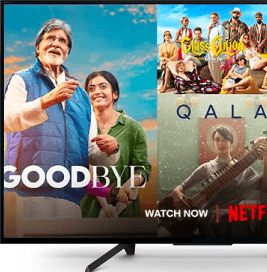 Netflix streaming on a smart TV